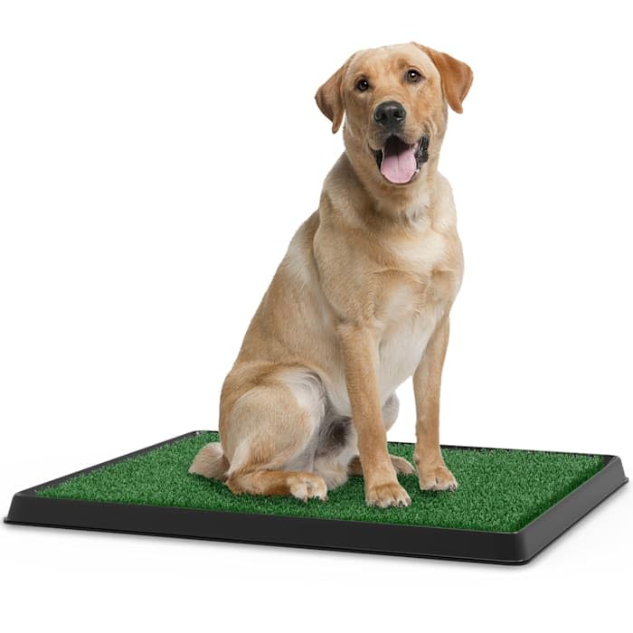 Artificial Grass Potty Trainer Mat 20" L X 25" W D819