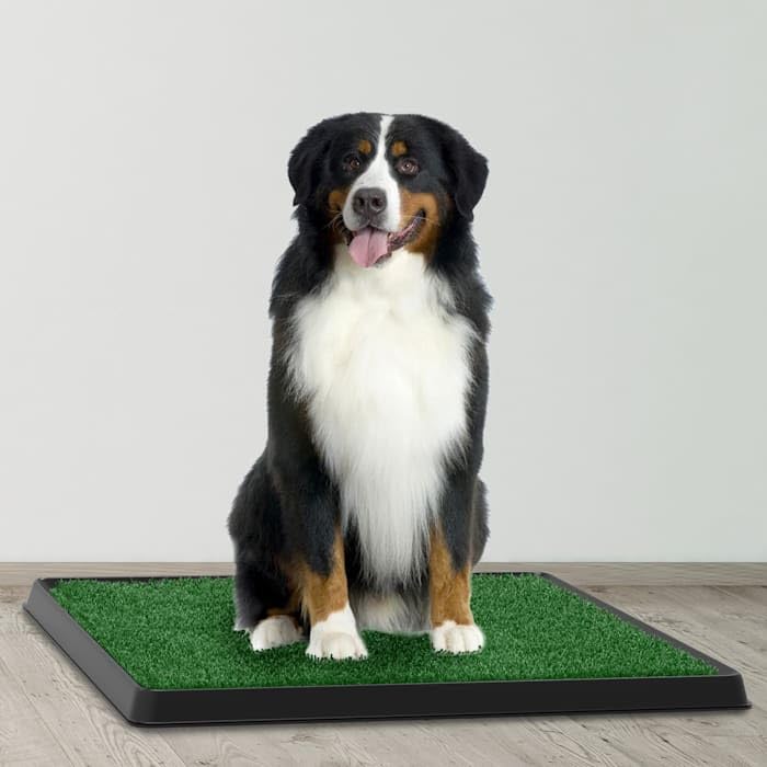 Artificial Grass Potty Trainer Mat 20" L X 25" W D819