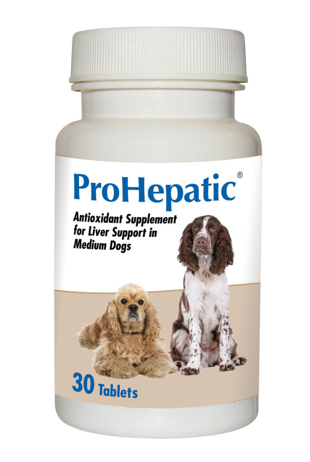 Liver Support Supplement for Dogs 30 Tablets B466352