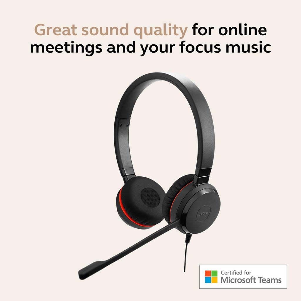 Wired Dual-Ear Headset with Mic, Black D1489