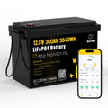 12V 300Ah LiFePO4 Battery with 200A BMS G48764