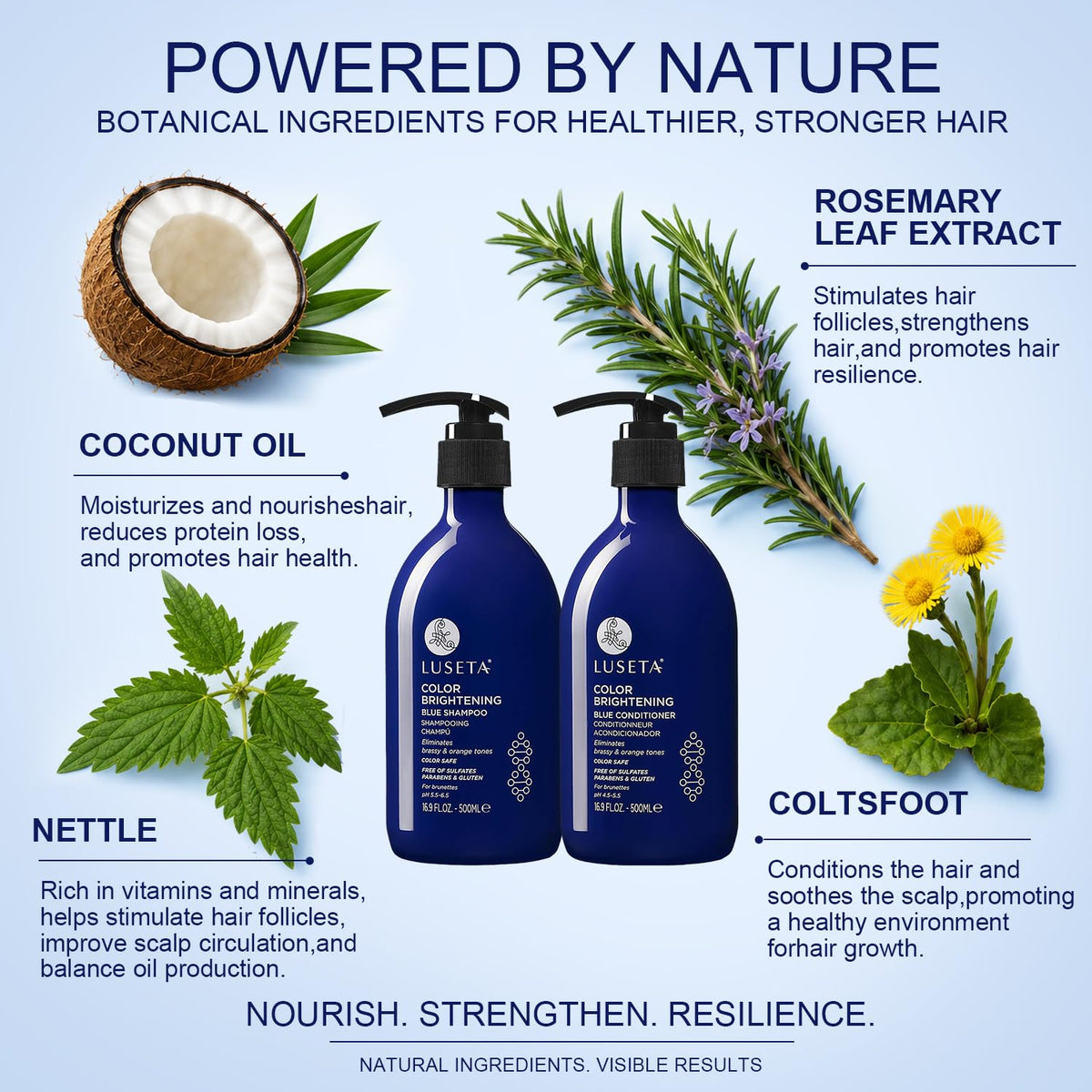 Blue Shampoo & Conditioner Set 2x16.9oz E936