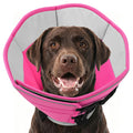 Soft Dog Cone Collar L14179