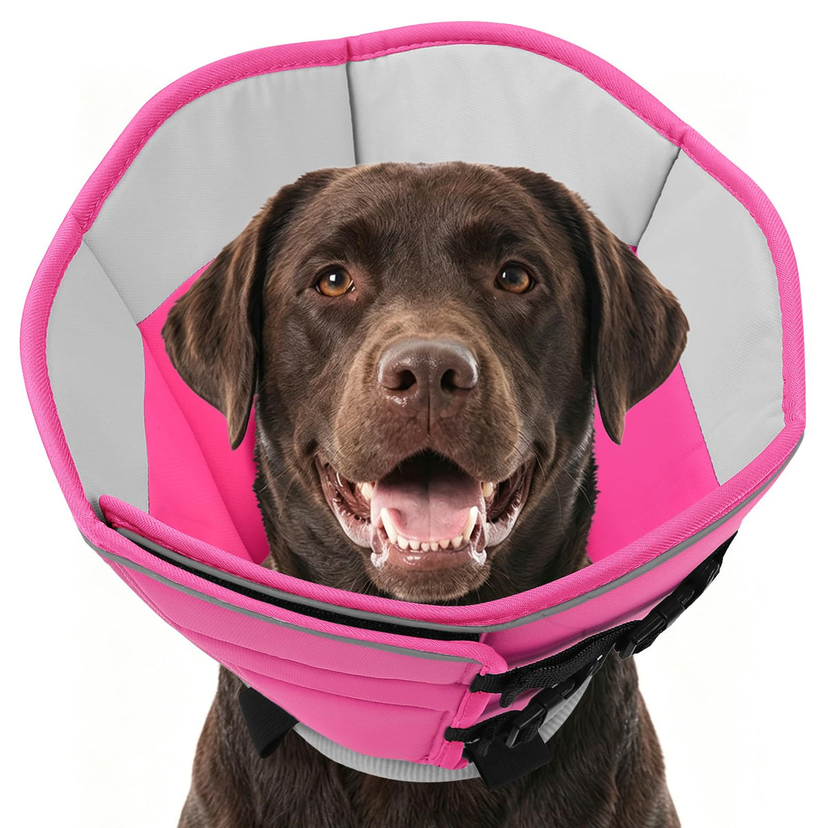 Soft Dog Cone Collar L14179