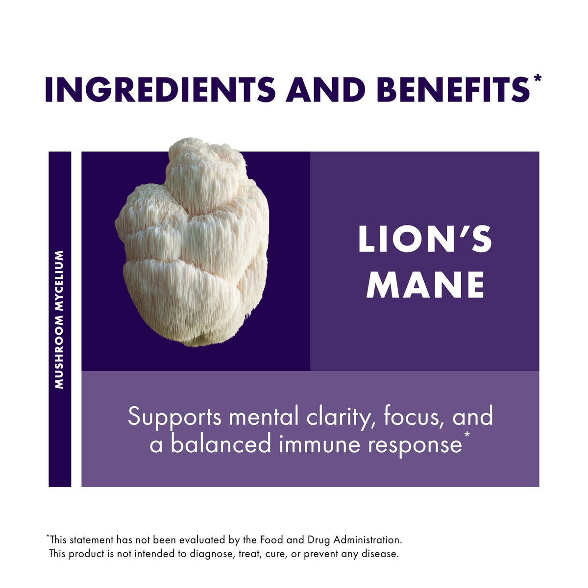 Lion's Mane 60 Capsules G79331