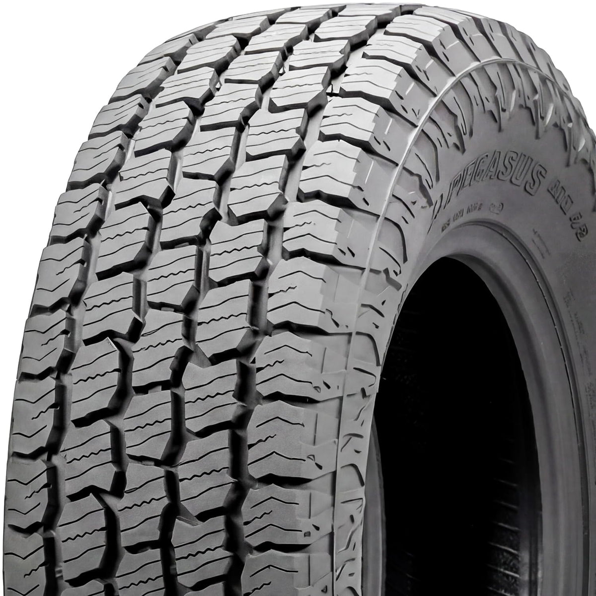 275/55R20 117T XL All Terrain Tire Q2468