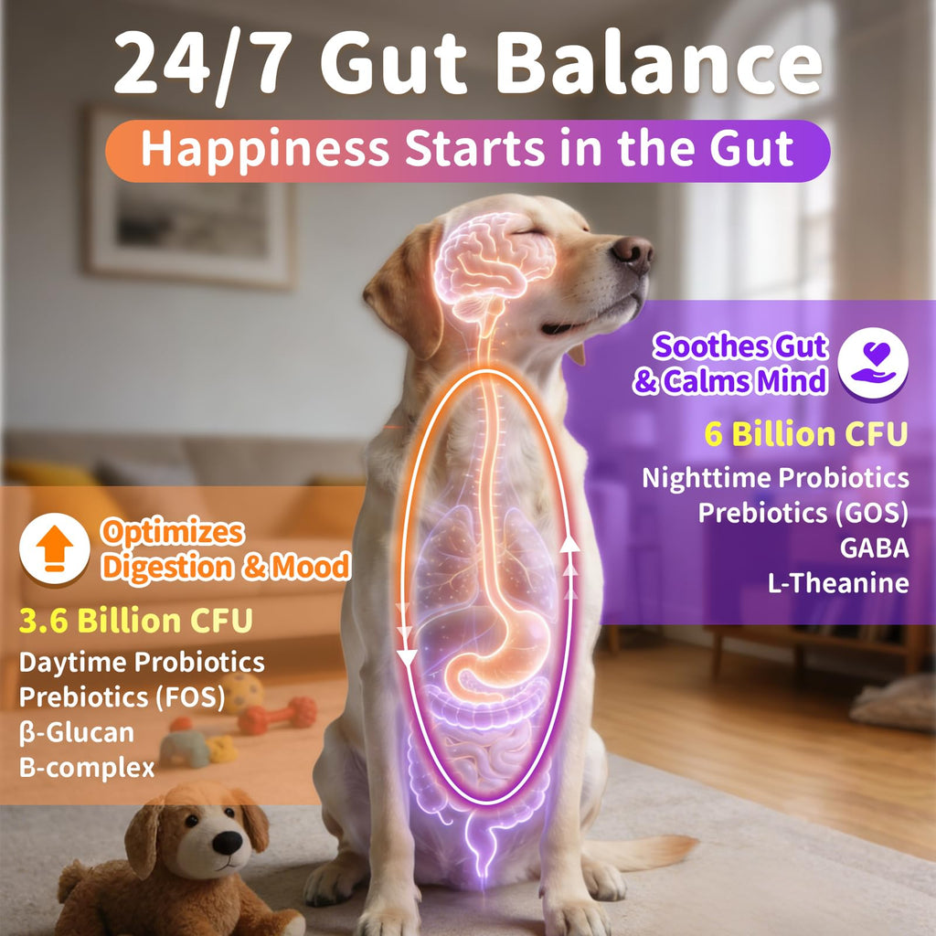 Dog Vitamins and Supplements 2 Pack Chicken A37183