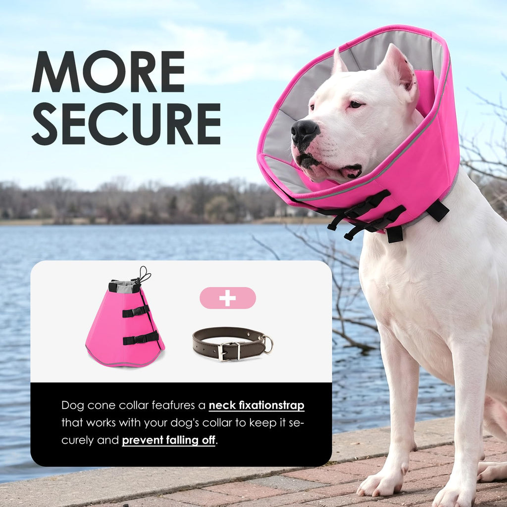 Soft Dog Cone Collar L14179
