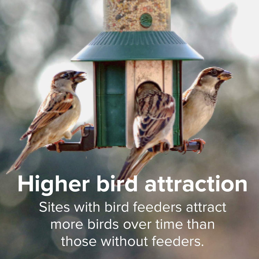 20 Pound Shell-Free Wild Bird Seed Mix W986869