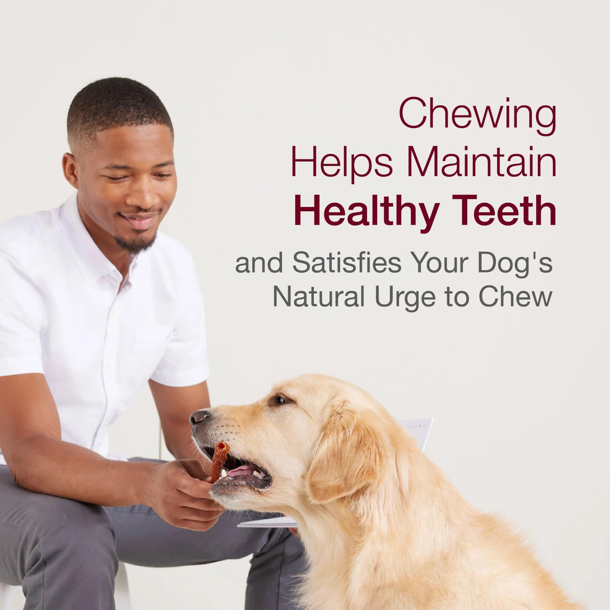 Peanut Butter Pork Flavor Rawhide-Free Dog Chews 6 Twistz G713450