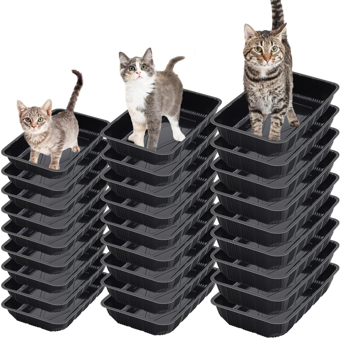 30 Pcs Disposable Plastic Cat Litter Trays 3 Sizes Black T407121