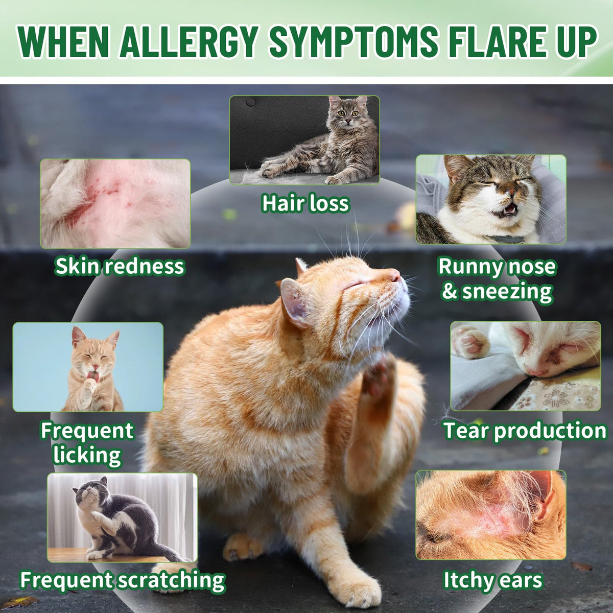 Cat Allergy & Hairball Relief Drops 60ml Q939